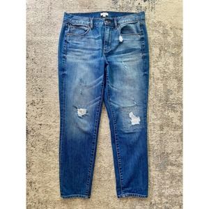 Size 28 J. Crew Distressed Boyfriend Jean